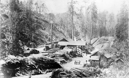 Hubbard and Carmichael lumber mill at Porter Gulch