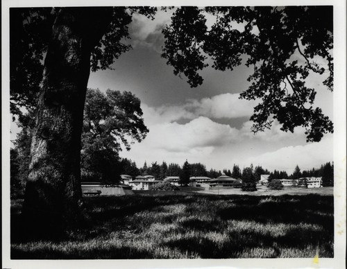 Cowell College and Stevenson College, UCSC