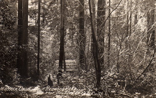 Maddock Cabin in Redwood Park