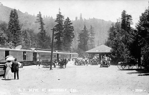 Train at the Southern Pacific depot in Brookdale