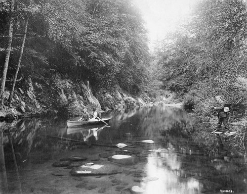 Branciforte Creek in Blackburn Gulch