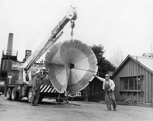 Salz sculpture hoisted by crane