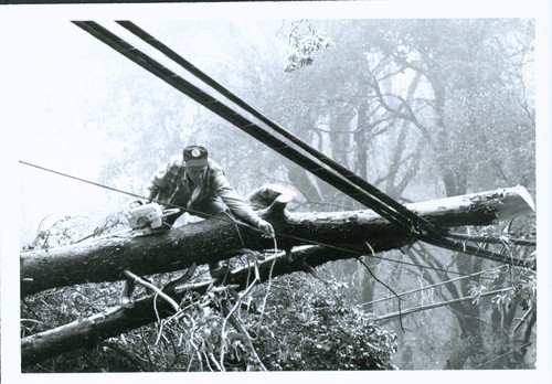 Bob Fortina Helping Out, Bracken Brae