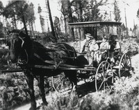 Horse Drawn Carriage with Children