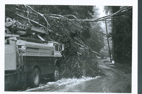 PG&E Crew at Brookdale