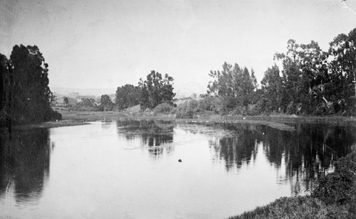 Schwan Lake (Lagoon)