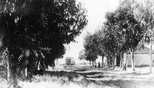 Streetcar No. 14, of the Santa Cruz, Capitola and Watsonville line