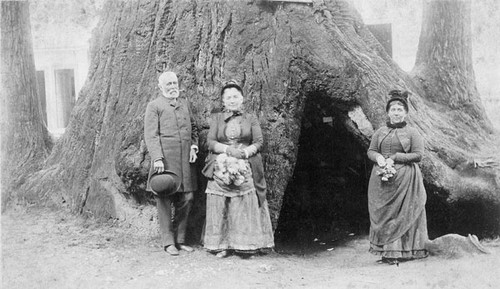 General John Charles Fremont and family in Big Trees Park