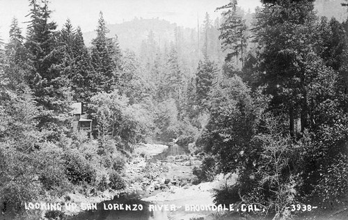 Looking up San Lorenzo River in Brookdale