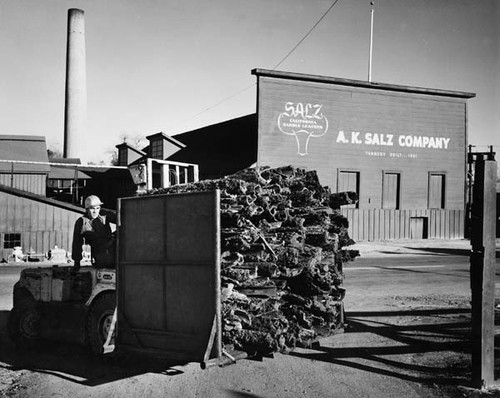 Forklift at Salz Tannery