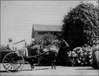 Henry Cowell's daughters, in front of the Ranch House on the Cowell Ranch