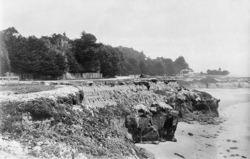 West Cliff Drive, looking towards Lighthouse Point