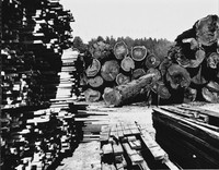 Standard Lumber Stack