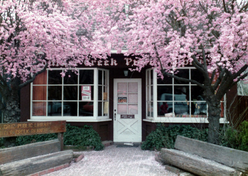 Postcard of the old Boulder Creek branch