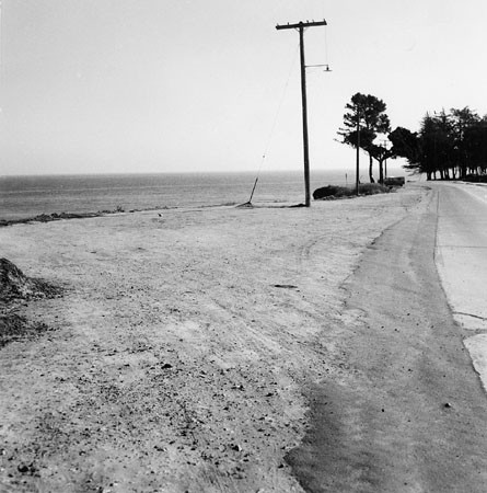 West Cliff Drive, looking toward Cypress Grove
