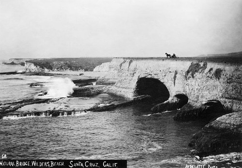 Ocean cliffs at Wilders Beach