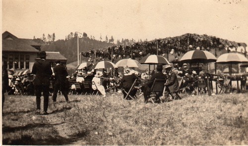 Felton Fair Days
