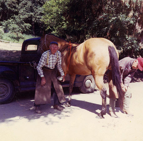 S. Walker and another man shoeing a horse