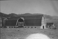 Frapwell Brothers' "Live Oak Dairy" Barn