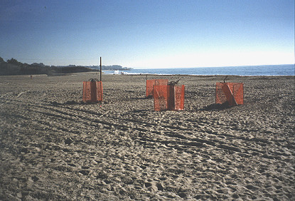 Damage to structures on the beach