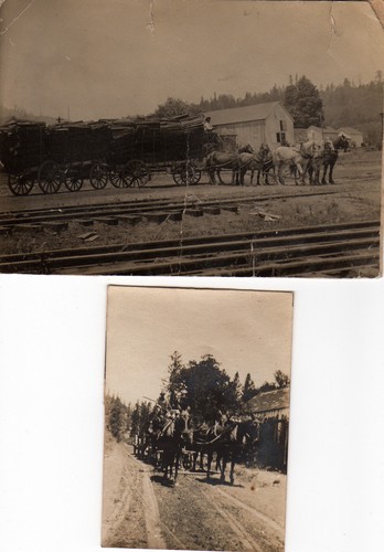 Cleve Maddock Hauling Lumber