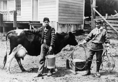 Ranch hands at the Green Oaks Ranch