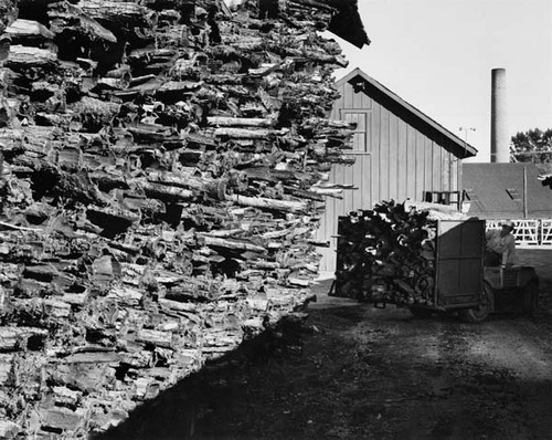 Salz Tannery bark storage sheds