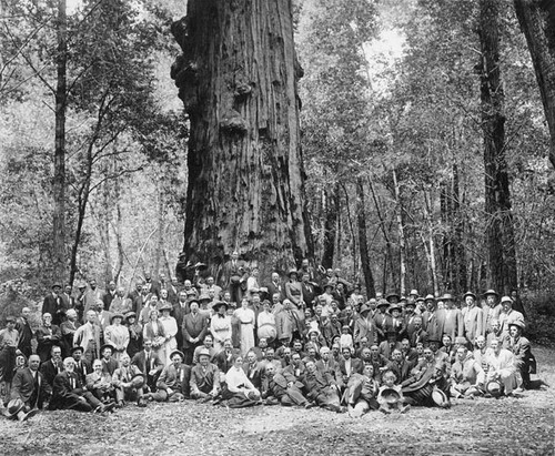 Santa Cruz Chamber of Commerce in Redwood Park