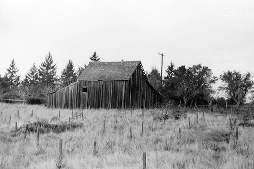 Old barn on the Delfina Costella property