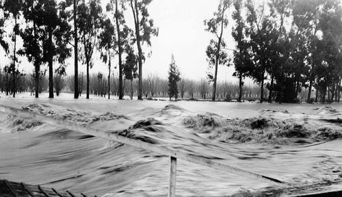 A view of the San Lorenzo River and Barson's Orchard in the flood of 1940