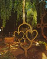 Double Heart Tree