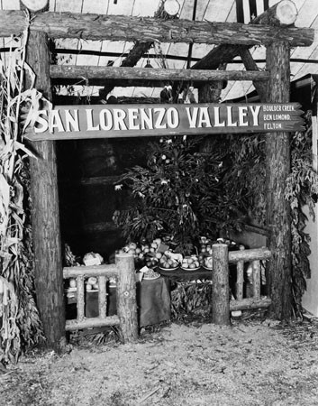 San Lorenzo Valley Fair(?) fruit exhibit