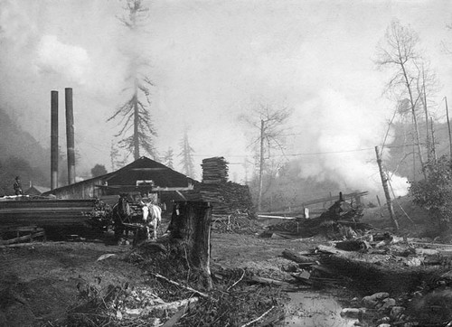 Sawmill at Granite Creek or Branciforte Creek