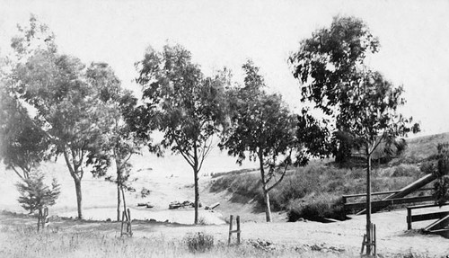 Seabright Cove and bridge from end of Mott Street