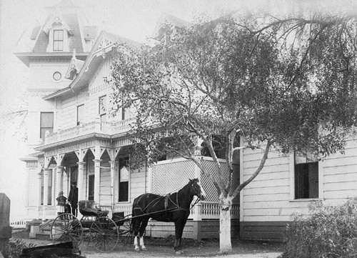 Horse and buggy in front of a home in Santa Cruz