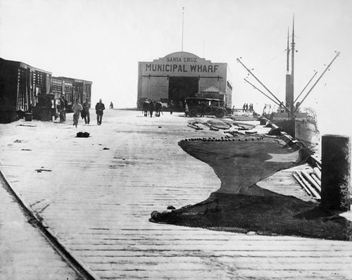 Fishing industry on the Municipal Wharf