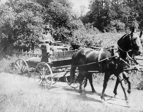 Jesus Perez on his buckboard