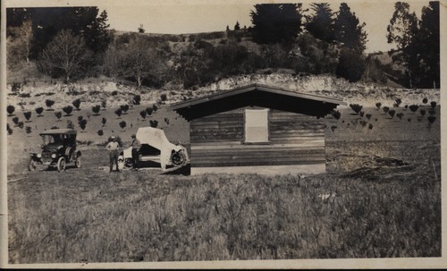 Lausen Family Driveway and Garage