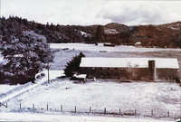 Locke Dairy Farm