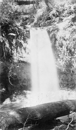 Waterfall on Waddell Creek, Big Basin Redwoods State Park