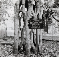 Tree Circus Living Telephone Booth