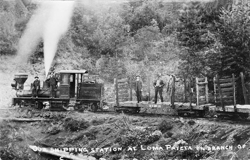 Molino Timber Company's railroad in the Hinkley Basin area