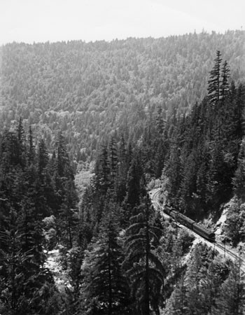 A South Pacific Railroad train in the Santa Cruz Mountains