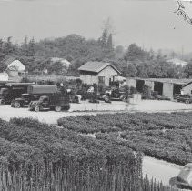 Monrovia Nursery