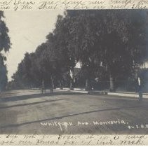 White Oak Ave. Monrovia By E. B. Gray