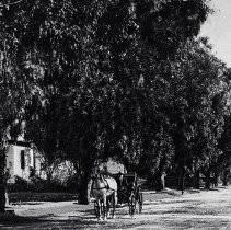 West White Oak Avenue 1907