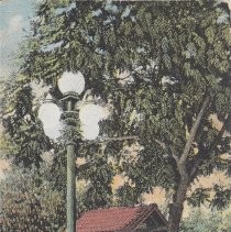 Library Park 1919