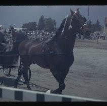 Monrovia Days c. 1941