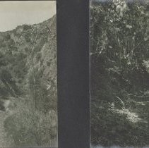 Monrovia Canyon Park