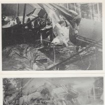 March 1931 Crash